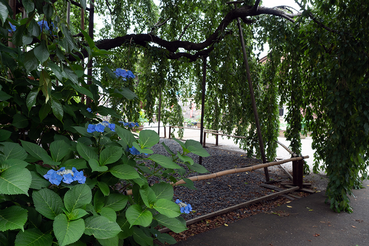 blog_pic00695.jpg