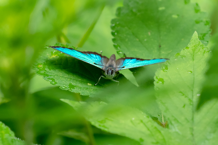 blog_pic00696.jpg