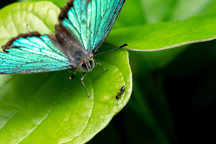 blog_pic00701.jpg