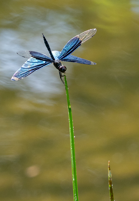 blog_pic00726.jpg