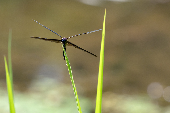 blog_pic00727.jpg