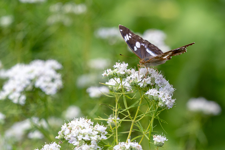 blog_pic00730.jpg