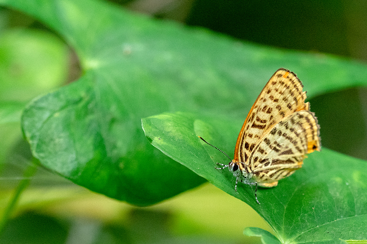 blog_pic00731.jpg