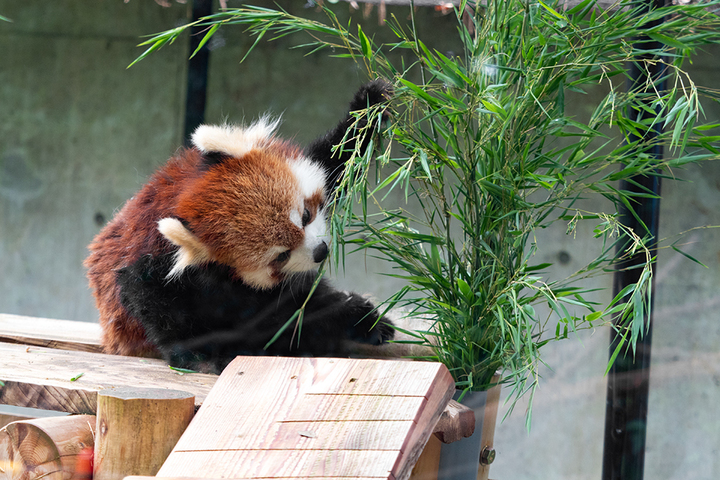 blog_pic00769.jpg