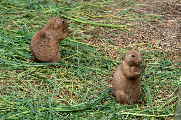 blog_pic00770.jpg