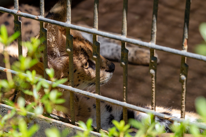blog_pic00776.jpg