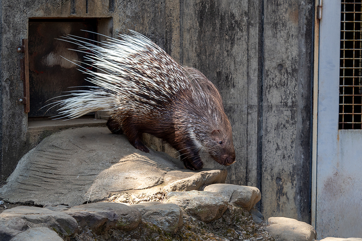 blog_pic00778.jpg