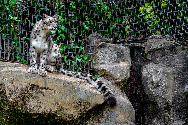 blog_pic00808.jpg