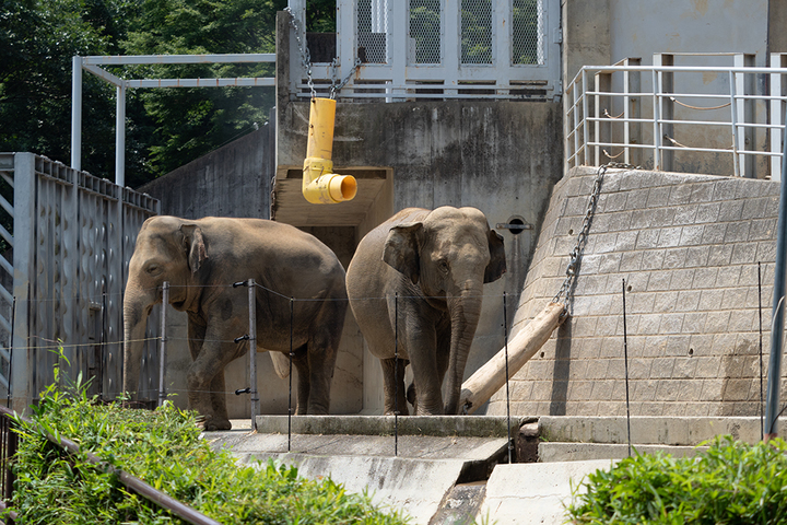 blog_pic00812.jpg