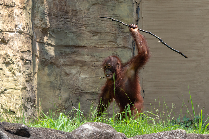 blog_pic00813.jpg