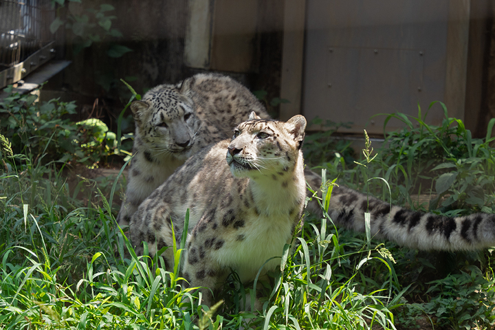 blog_pic00816.jpg
