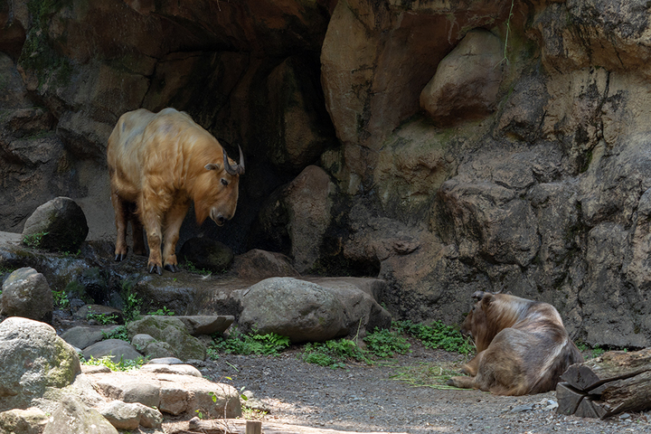 blog_pic00818.jpg