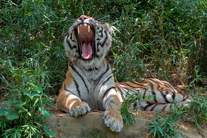 blog_pic00820.jpg