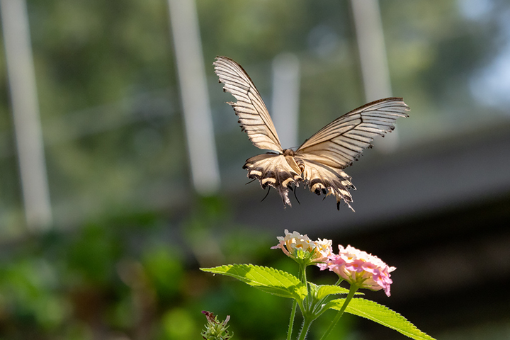 blog_pic00823.jpg