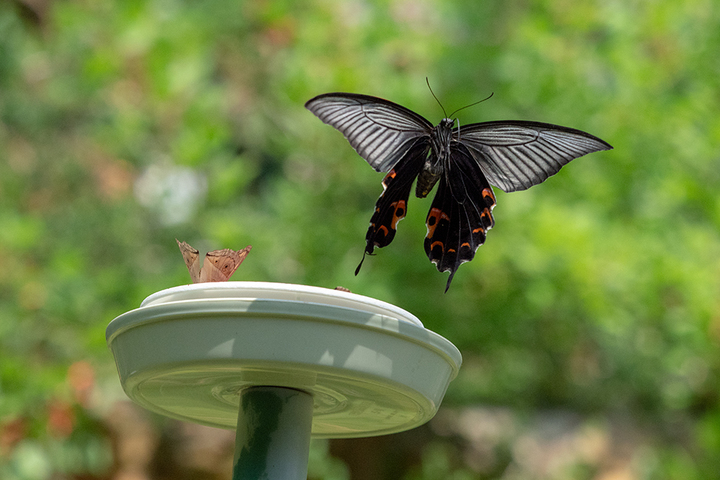 blog_pic00825.jpg