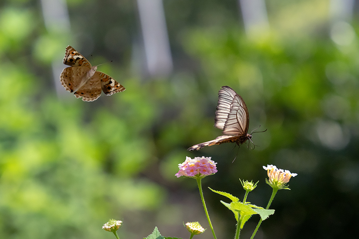 blog_pic00826.jpg