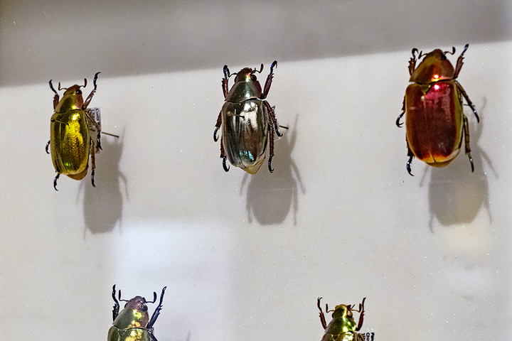 blog_pic00859.jpg