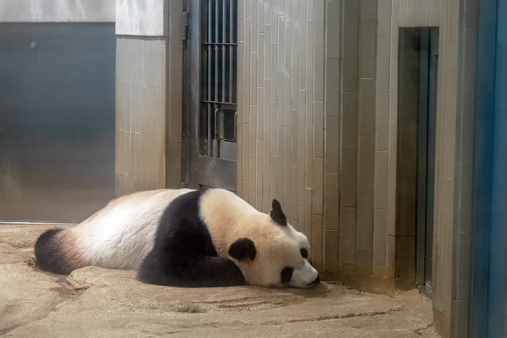 blog_pic00867.jpg
