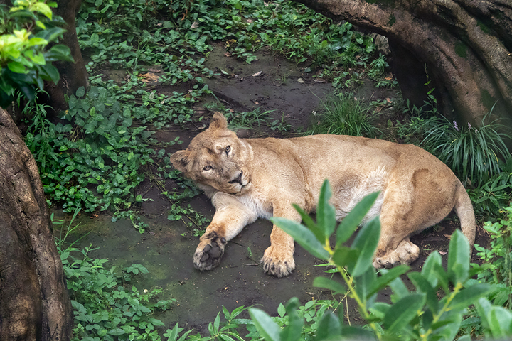 blog_pic00869.jpg