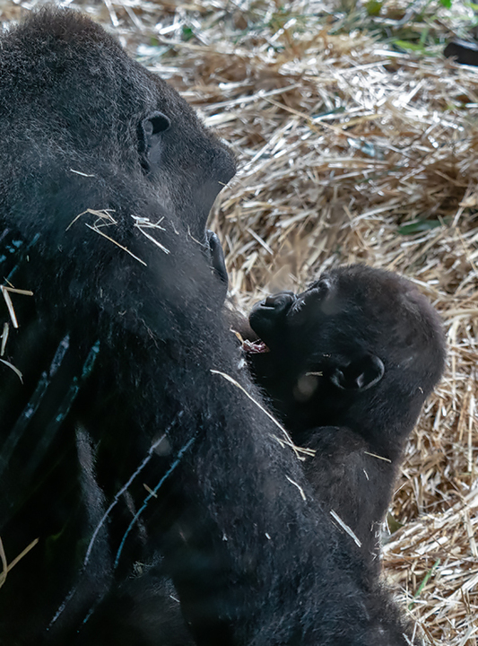 blog_pic00870.jpg