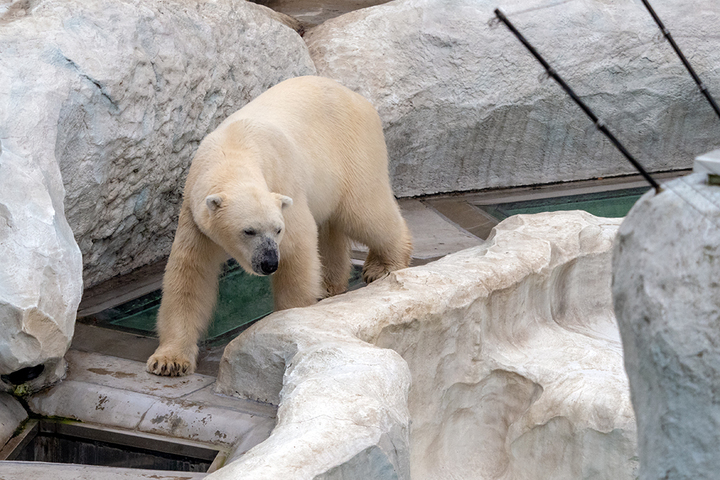 blog_pic00871.jpg
