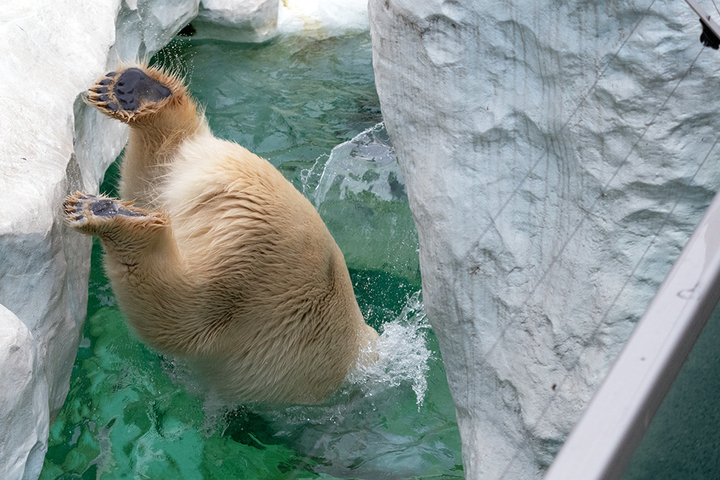 blog_pic00872.jpg