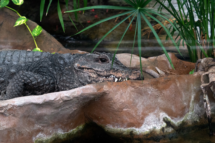 blog_pic00877.jpg