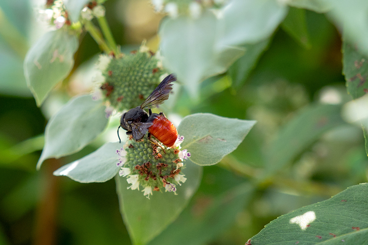 blog_pic00894.jpg