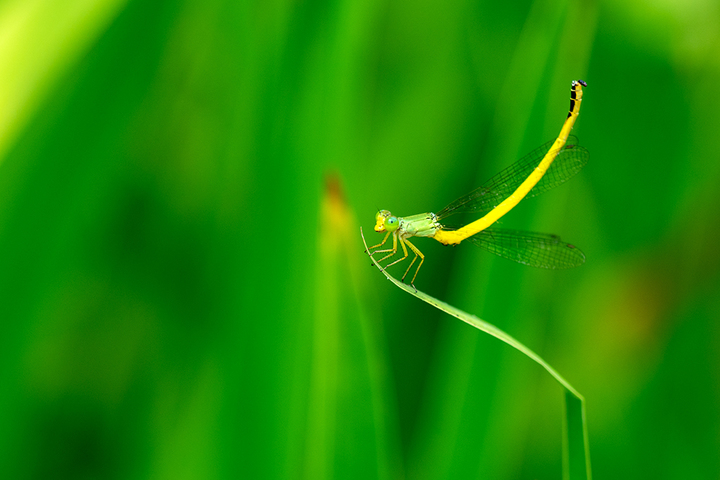 blog_pic00895.jpg