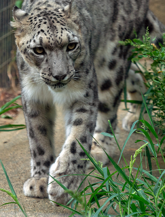 blog_pic00907.jpg