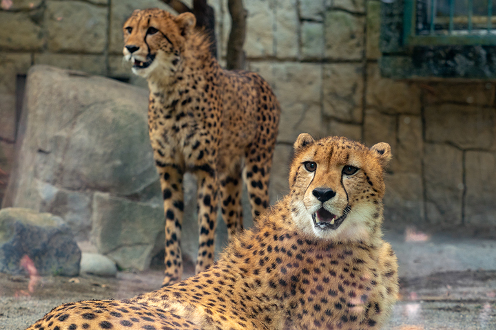 blog_pic00914.jpg
