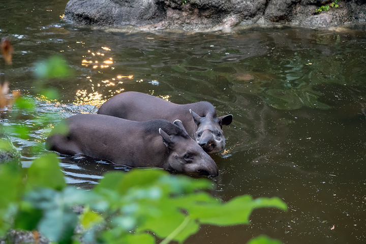 blog_pic00940.jpg