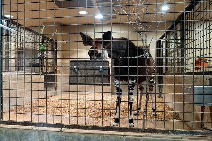 blog_pic00942.jpg