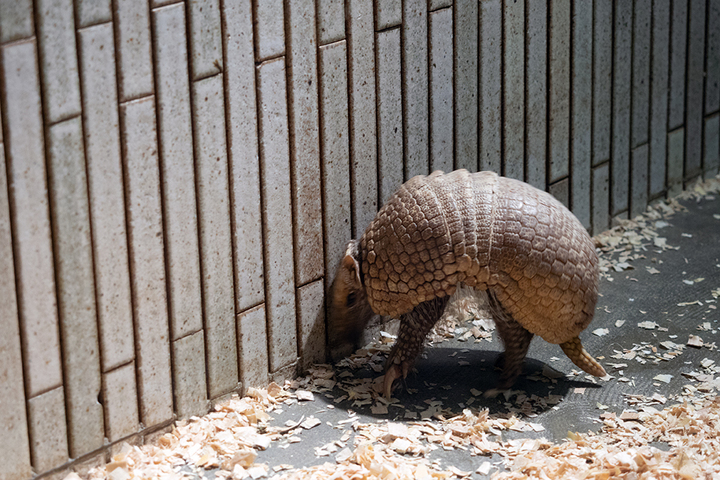 blog_pic00944.jpg