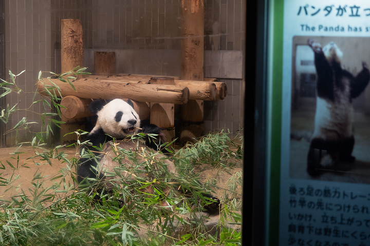 blog_pic00946.jpg
