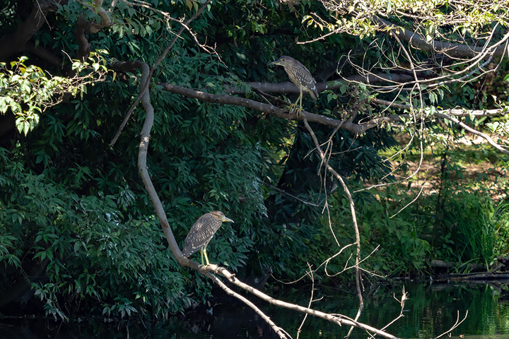 blog_pic00959.jpg
