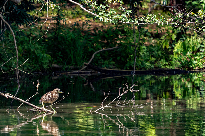 blog_pic00961.jpg