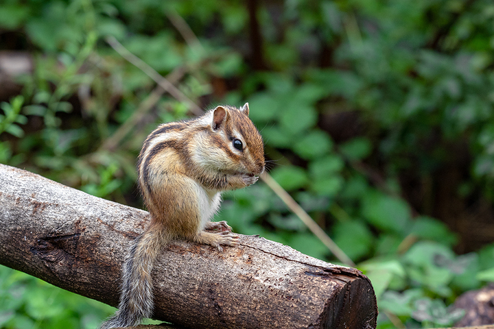 blog_pic00969.jpg
