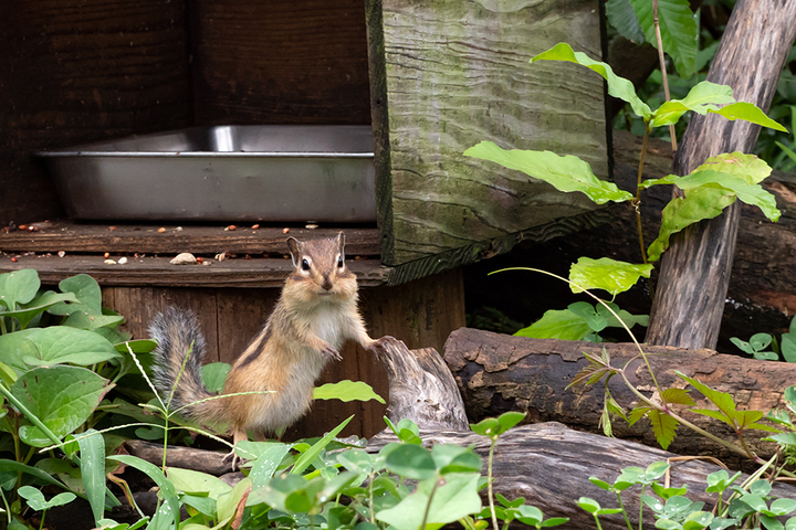 blog_pic00971.jpg