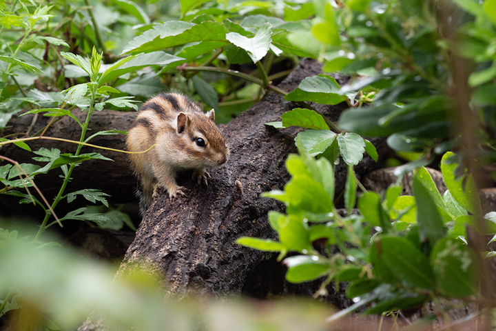 blog_pic00975.jpg