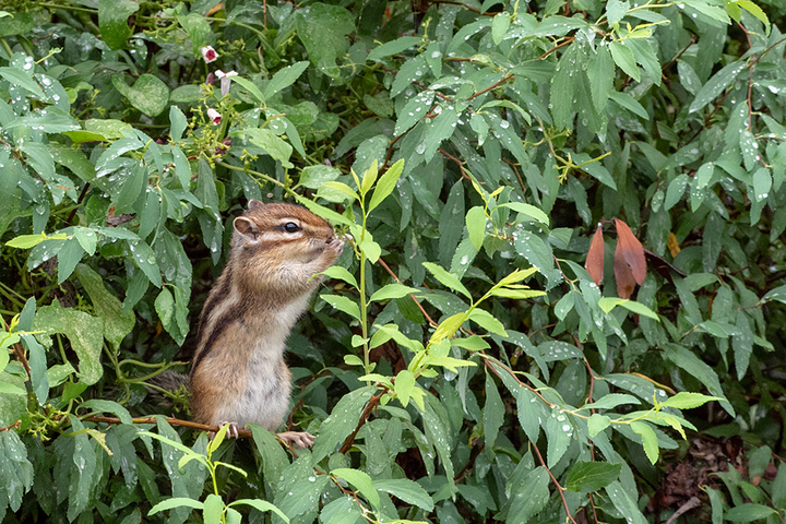 blog_pic00976.jpg