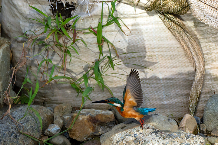 blog_pic00977.jpg