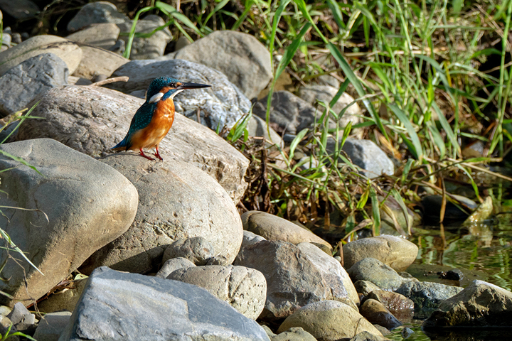 blog_pic00978.jpg