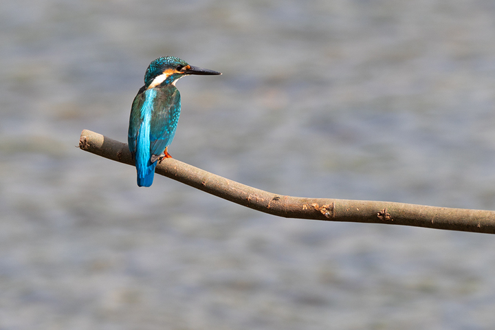 blog_pic00982.jpg