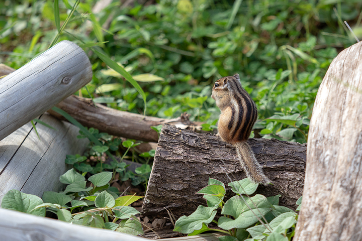 blog_pic00985.jpg