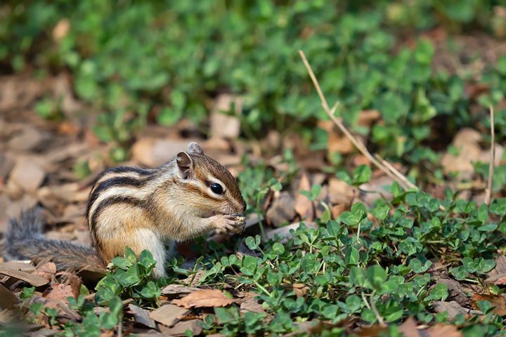 blog_pic00986.jpg