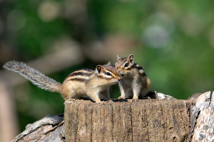 blog_pic00987.jpg