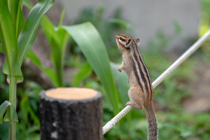 blog_pic00990.jpg