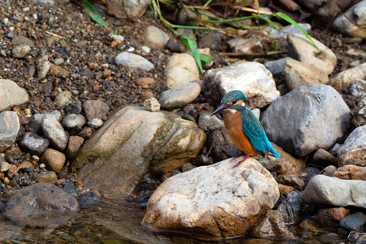 blog_pic00997.jpg