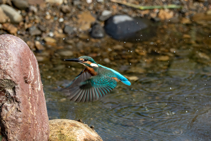 blog_pic01001.jpg